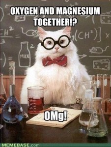 science cat
