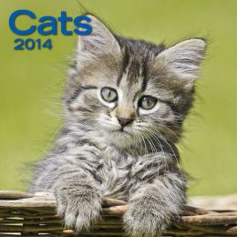 2014 cats