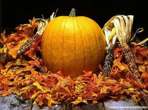 0Pumpkin_Pumpkins_0Webshots_1_007