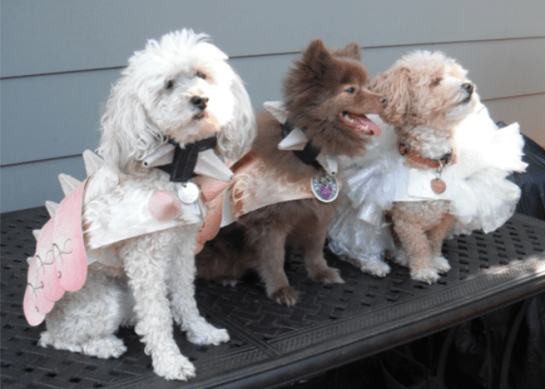 Screen Shot 2016-07-20 at 10.51.55 PM.png