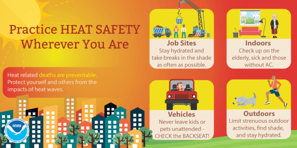 Screen Shot 2017-08-01 at 9.56.51 AM