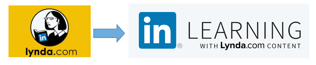 lynda.png