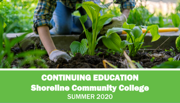 Screen Shot 2020-06-17 at 3.57.03 PM