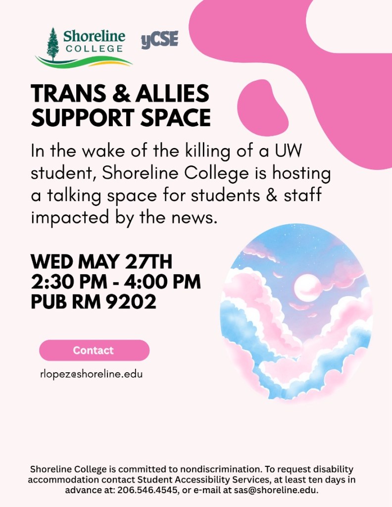 Flyer with trans pride colored sky.